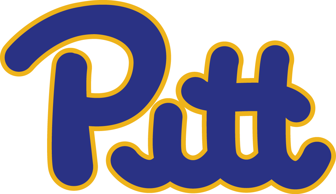 Pittsburgh Panthers 1973-1996 Wordmark Logo v2 iron on transfers for clothing...